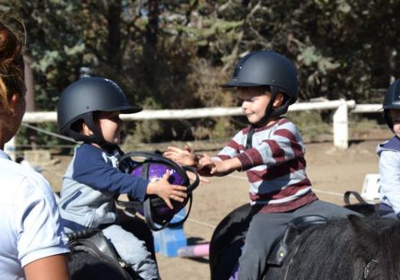 Pony Baby Vitrolles - cours, stages, balades, anniversaires poney pour enfants