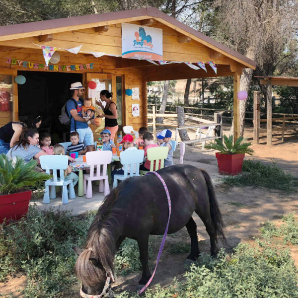 anniversaires-enfants-poney-pony-baby-vitrolles-7
